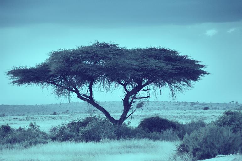 Car Rental Eastgate Hoedspruit Airport Car Hire South Africa CARHIRE