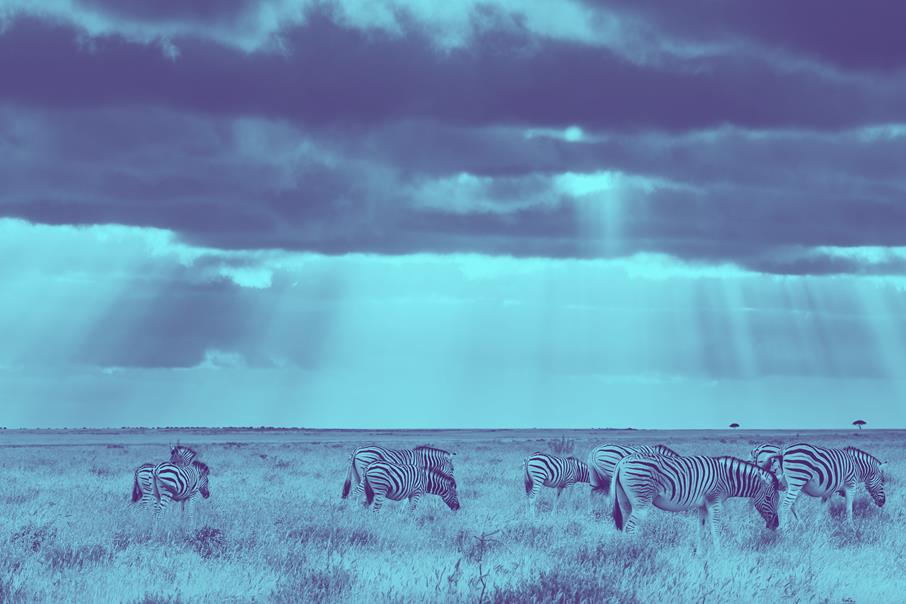 Car Rental Sun City CARHIRE